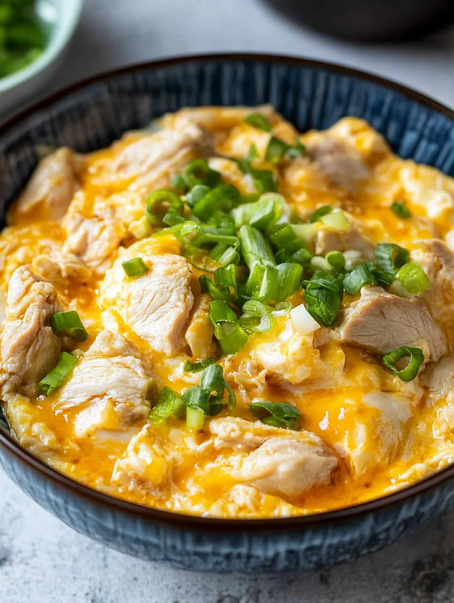 Eine Schüssel Hühnersuppe mit Frühlingszwiebeln.