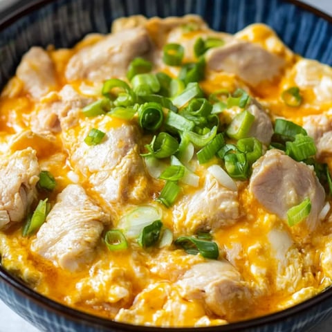 Eine Schale mit Essen, darauf grüne Zwiebeln und Huhn.