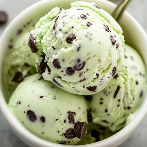 Eine Schüssel Eis mit Schokostückchen.